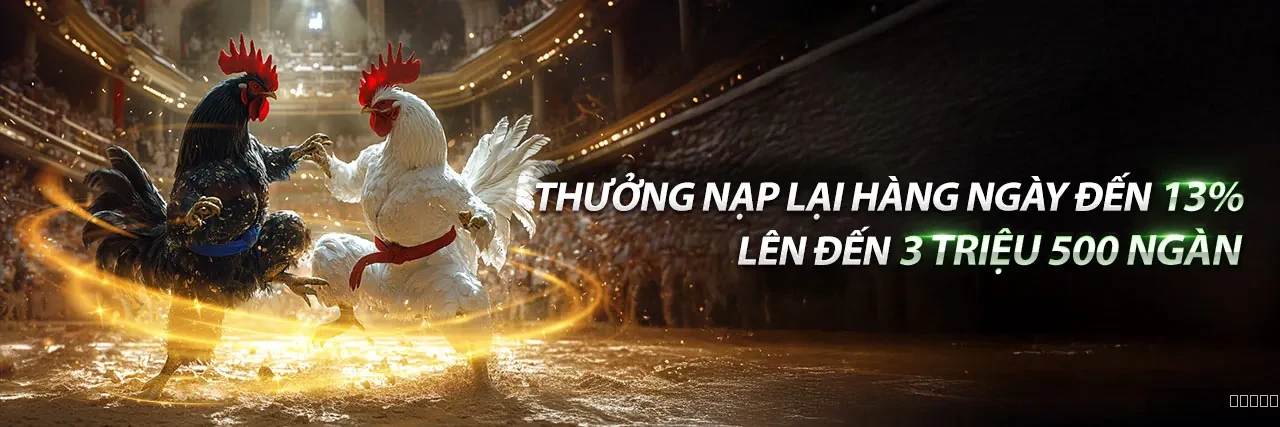 Đá gà 789club – sân đấu và hướng dẫn cá cược an toàn
